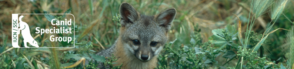 Canids Specialist Group