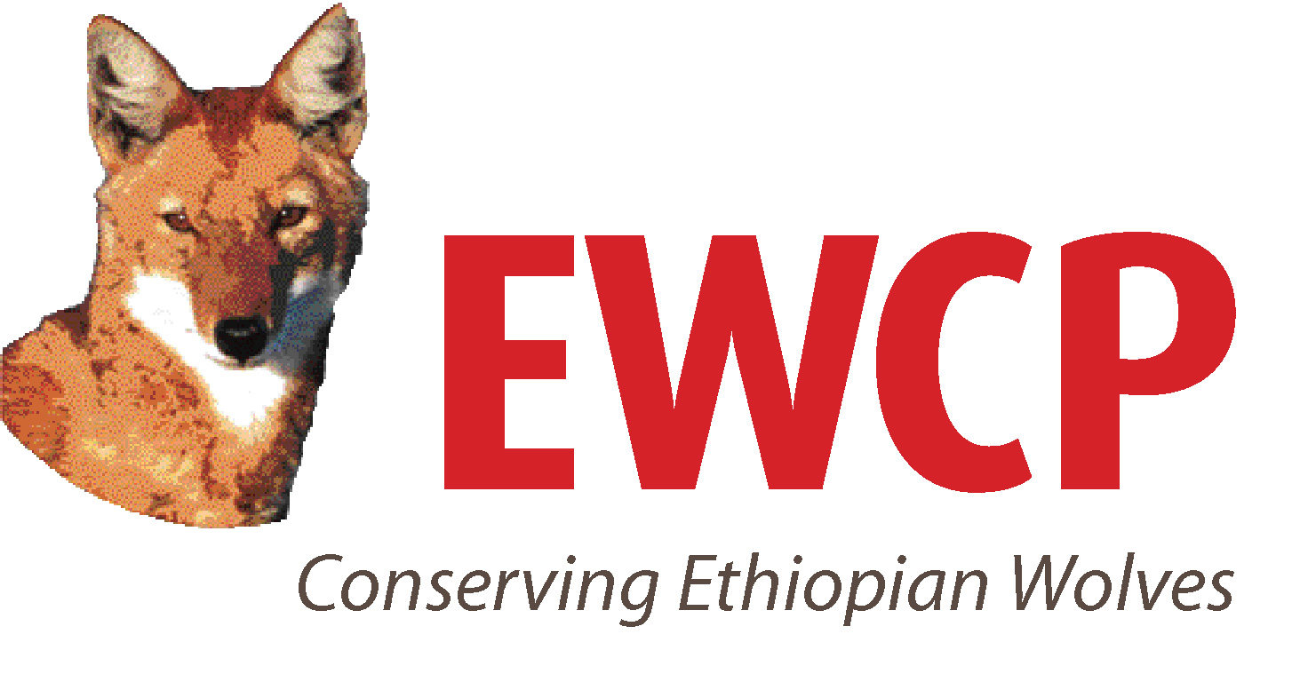 Ethiopian Wolf Conservation Programme Ethiopian Wolf Conservation Programme